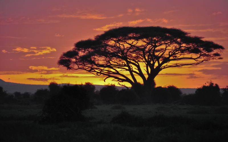 amboseli 2 amboseli 2