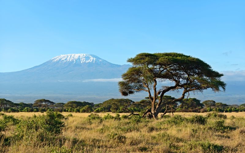 3 Days of Amboseli Safari - Gokenya Safari