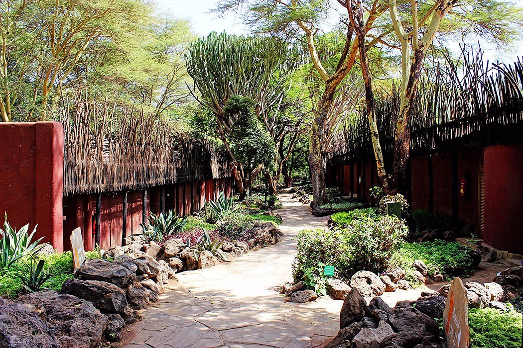 amboseli serena7