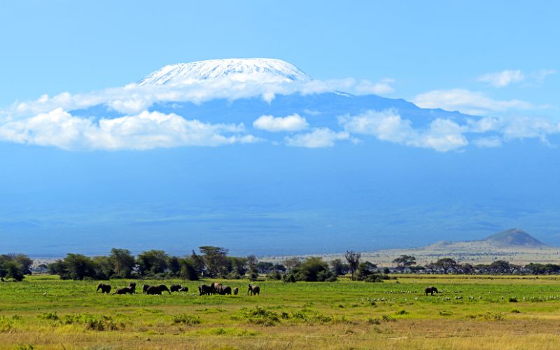 10 Days of Rwanda Gorilla Trek, Amboseli & Maasai Mara