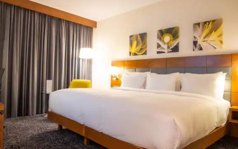 hilton garden