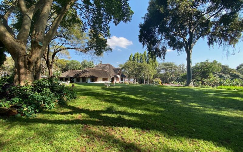 ngorongoro farm house5
