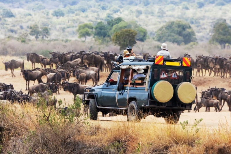 Planning your trip to Kenya