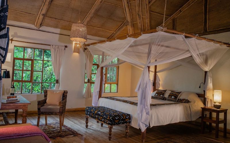 Bwindi Lodge - Safari Tour Accommodation in Uganda