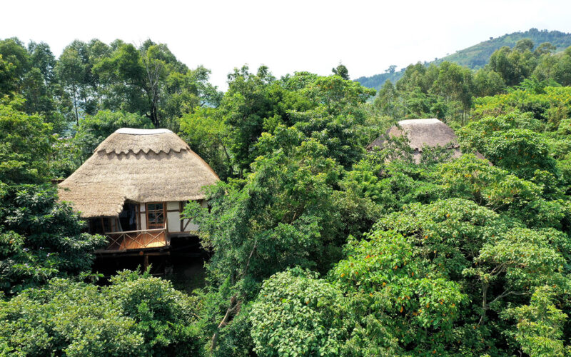 papaya lake lodge2 papaya lake lodge2
