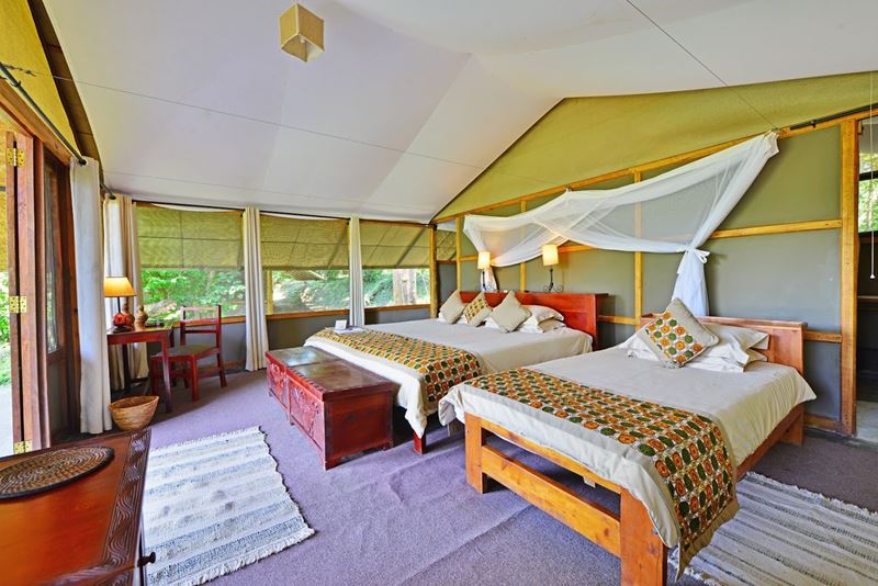ishasha wilderness camp2