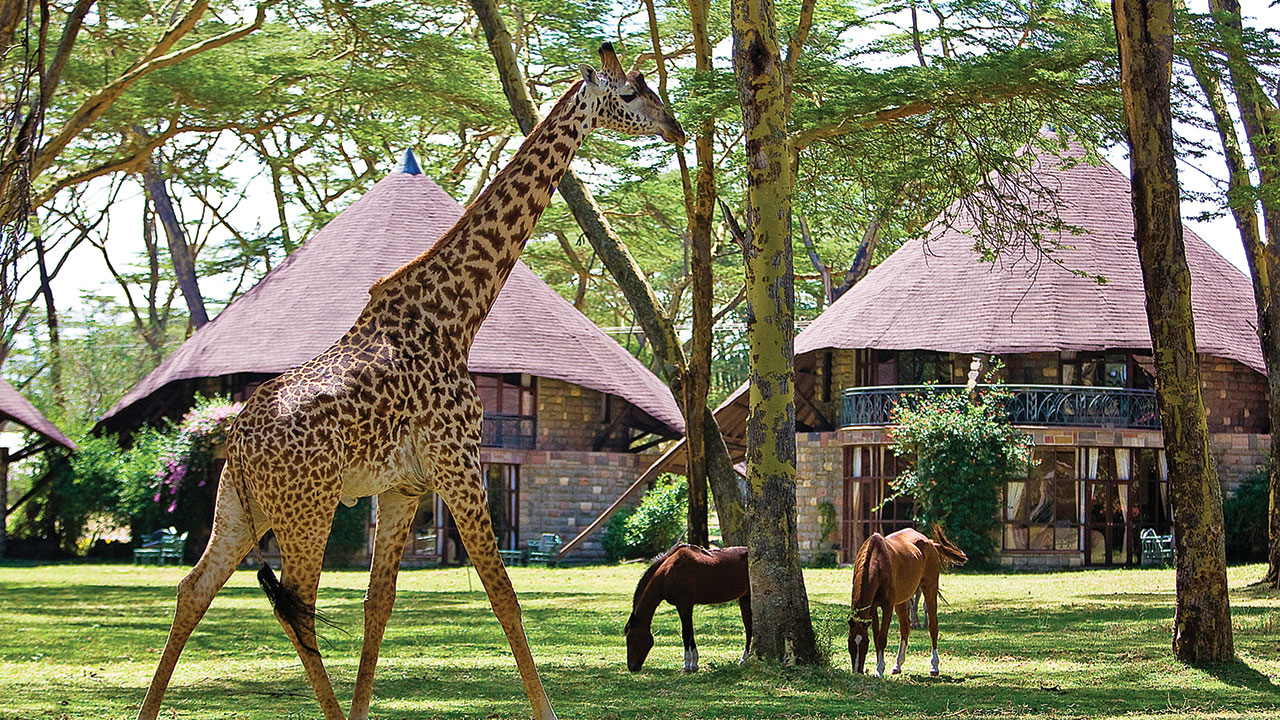 naivasha sopa1
