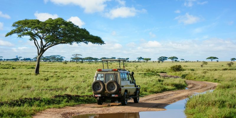 The Ultimate Guide to Tanzania Safari: A Wildlife Adventure Like No Other