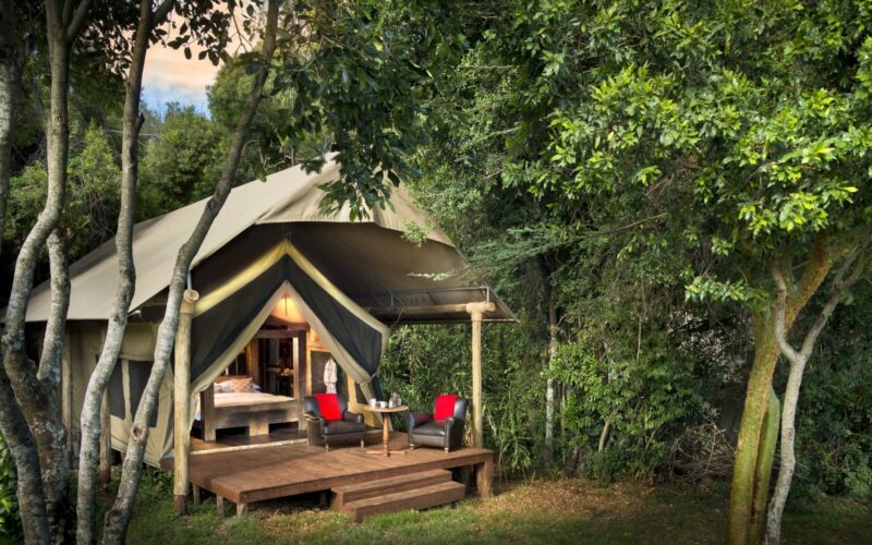 kichwa tembo camp3