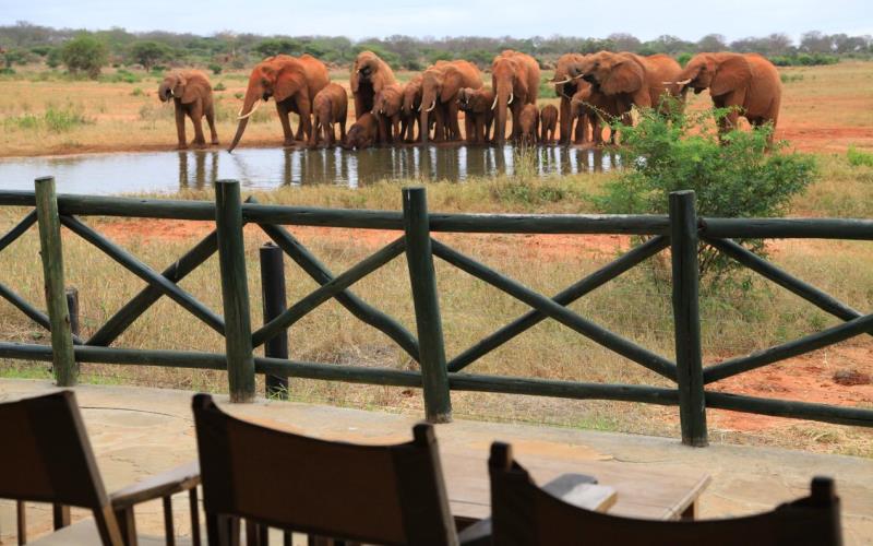 voi wildlife lodge2 voi wildlife lodge2