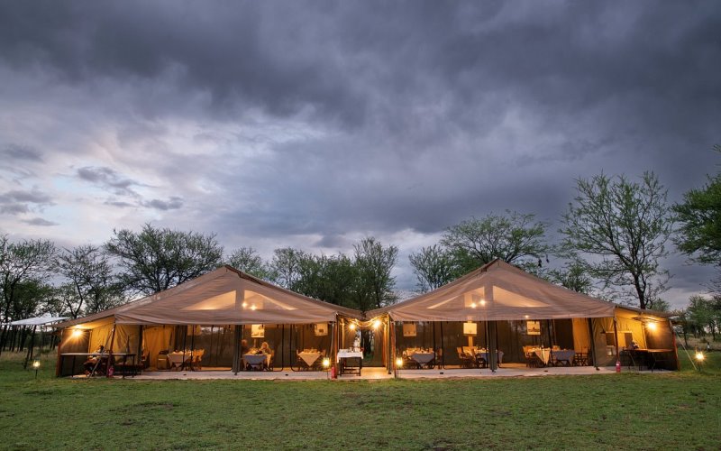 ndutu kati kati camp5
