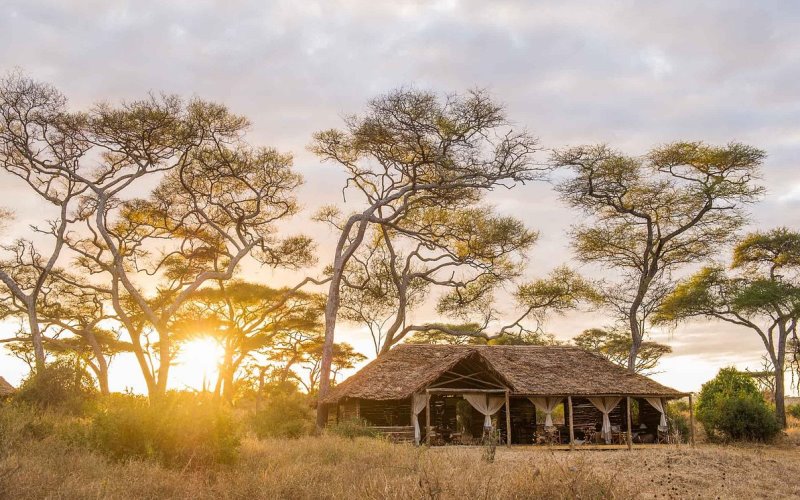 nomad tarangire1