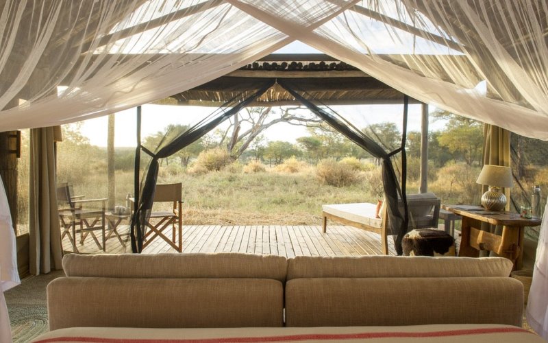 nomad tarangire3