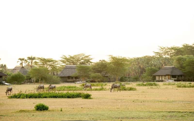 maramboi tented lodge1
