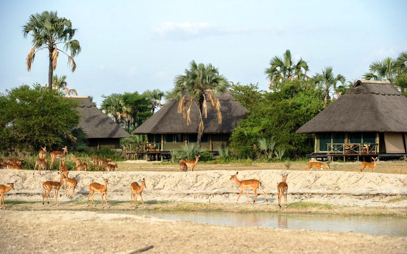 maramboi tented lodge4