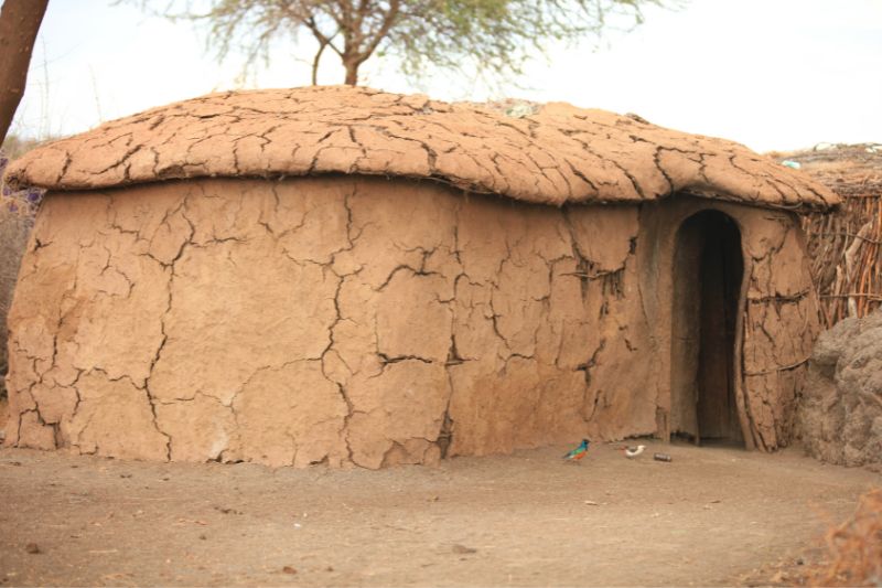 Masai Homestead