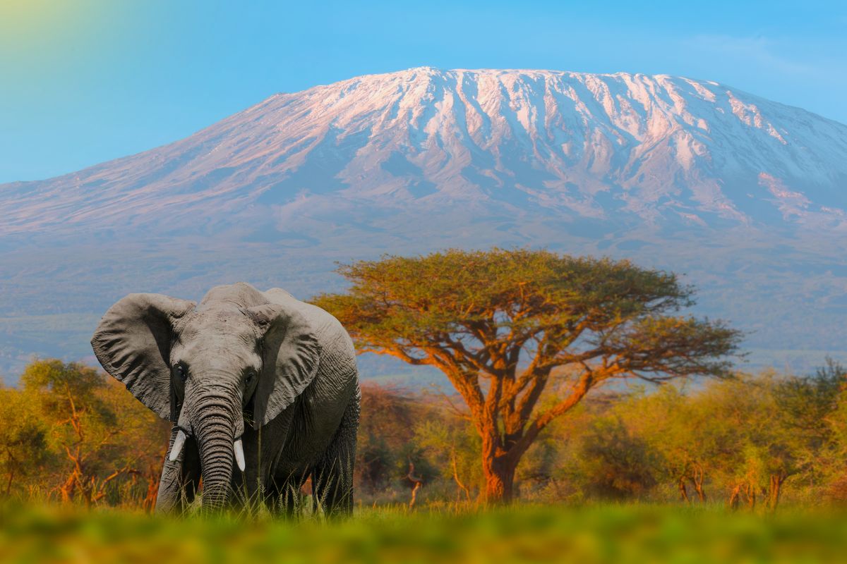 mount kenya national park