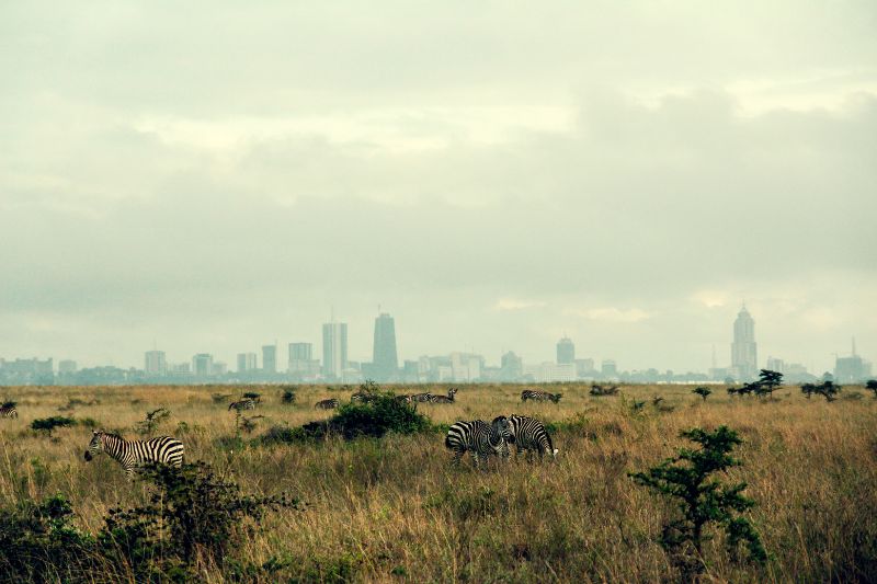 Top 10 Tourist Activities in Nairobi: Explore the Green City in the Sun
