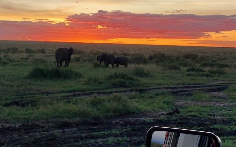 How to Get the Most Out of Your Tour or Safari Experience
