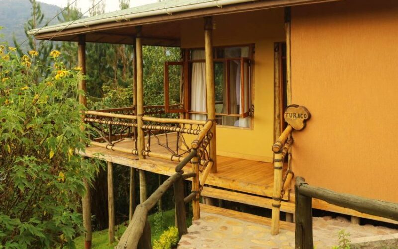 ichumbi gorilla lodge2
