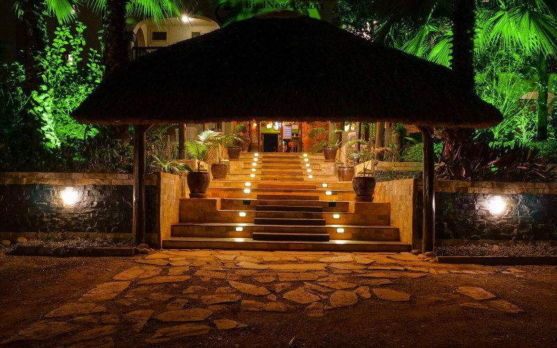 bird nest resort3 bird nest resort3