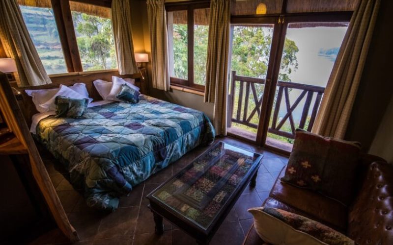 bird nest resort5 bird nest resort5