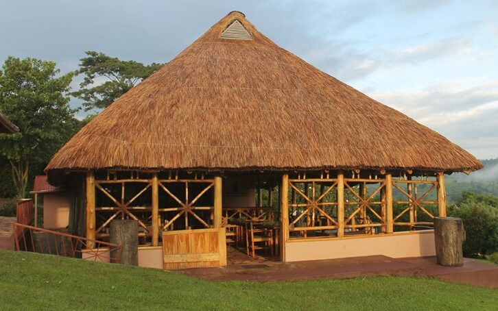 chimpanzee forest lodge