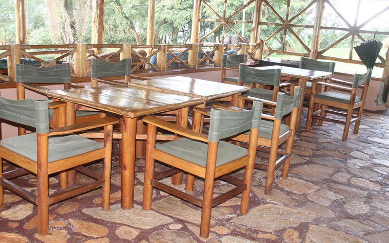 chimpanzee forest lodge2