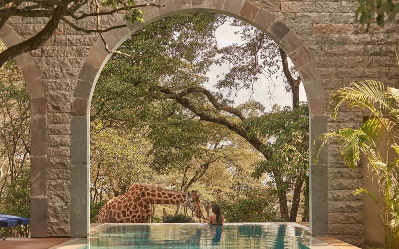 giraffe manor