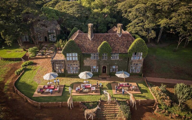 giraffe manor8