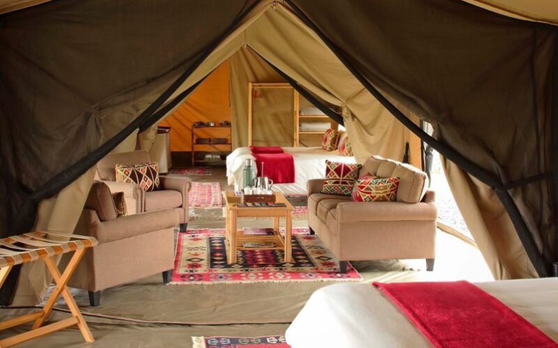 ol pejeta bush6