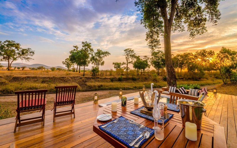 Luxury Safari Experience: Indulge In Opulence