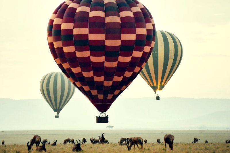 Balloon Safari in Masai Mara and Serengeti