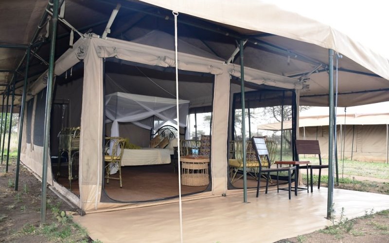 serengeti wild camp3 serengeti wild camp3
