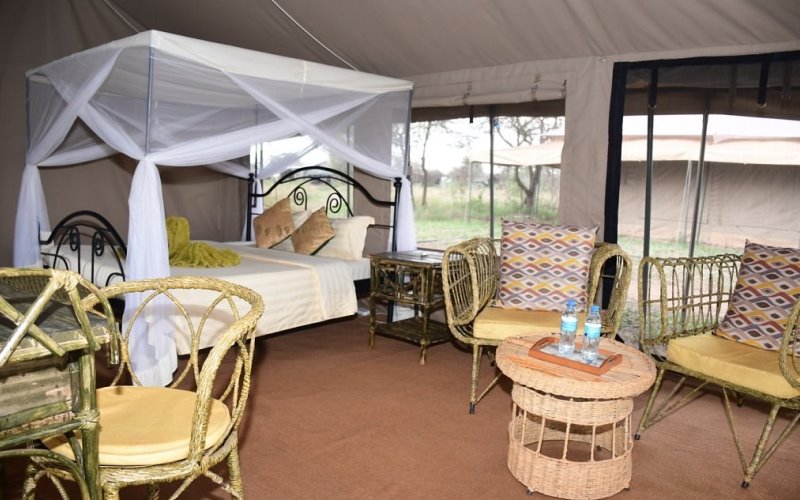 serengeti wild camp5