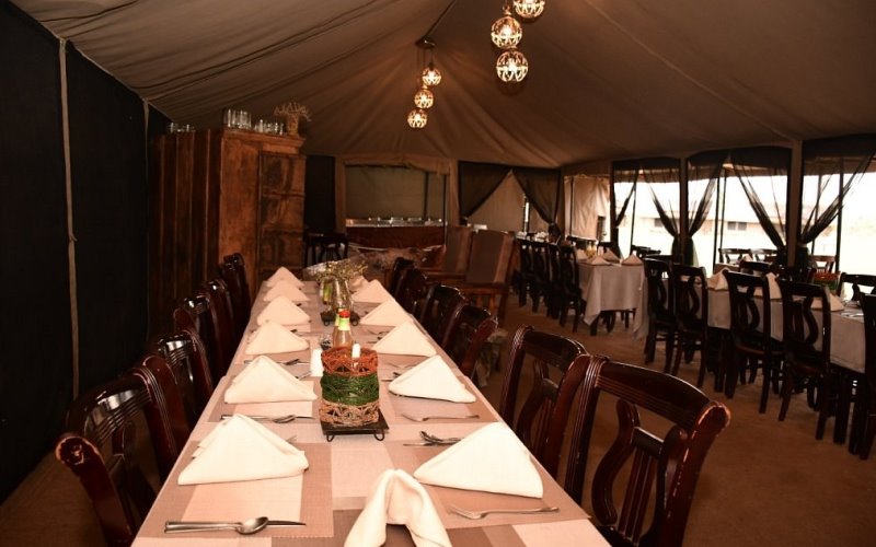 serengeti wild camp6 serengeti wild camp6