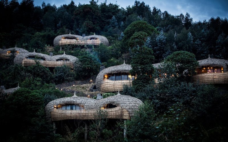 wilderness safaris bisate