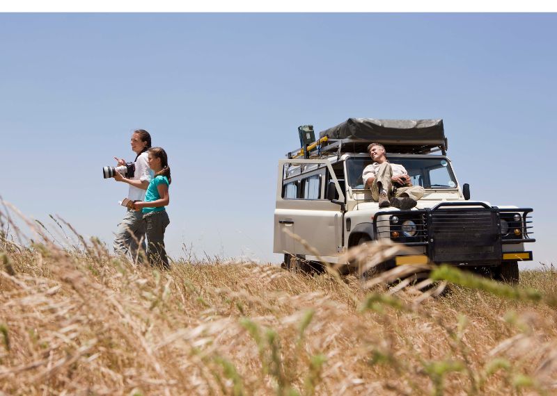 Factors Influencing The Cost Of A Safari - Gokenya Safari