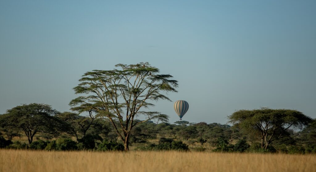 Balloon over the plains