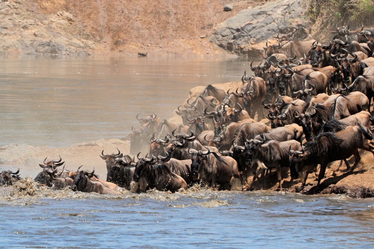 best time to visit east africa