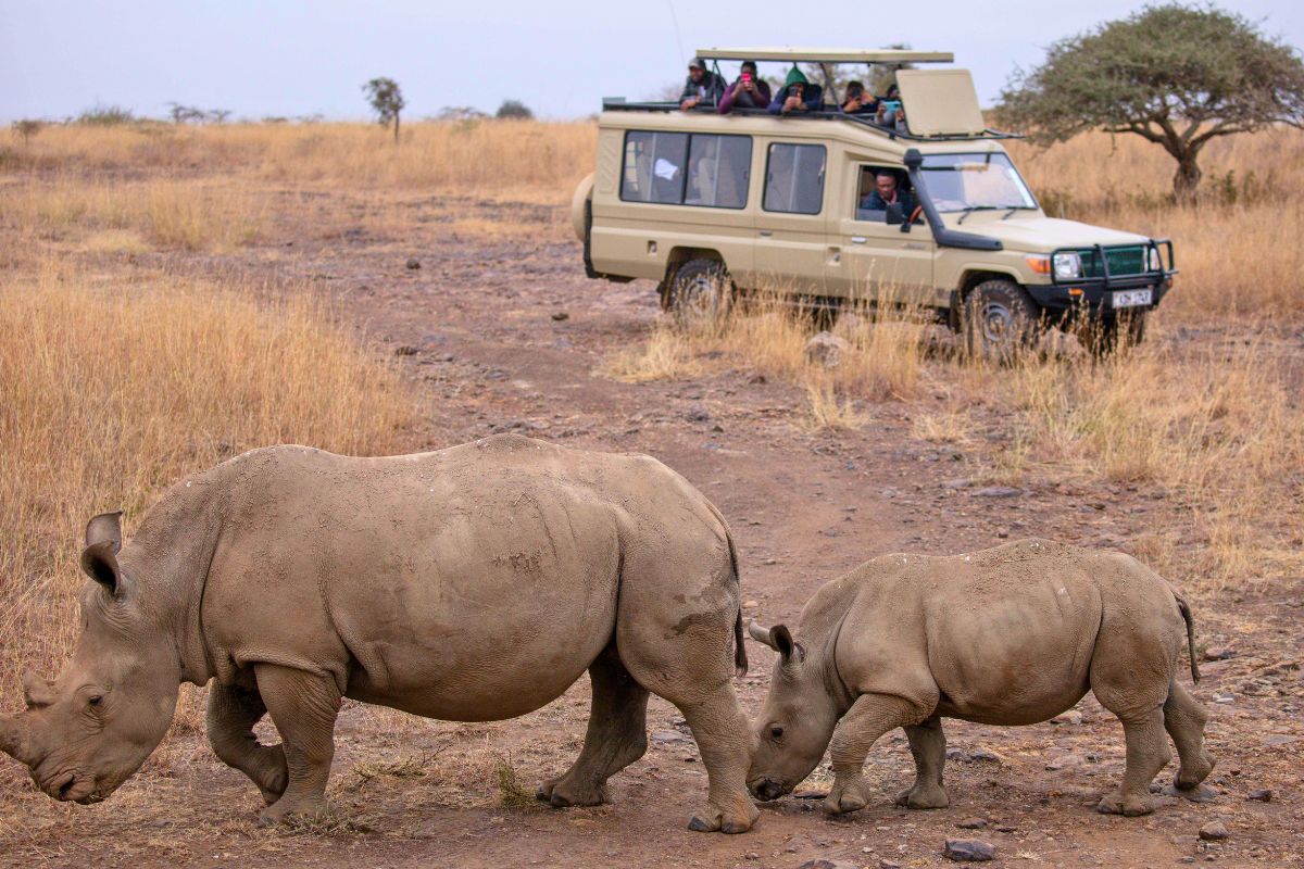 Best time to visit East Africa