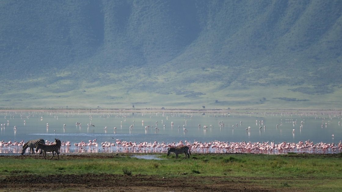 ngorongoro2